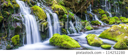 "Akita Prefecture" Spring scenery of Mototaki Falls and Mototaki River 114252280