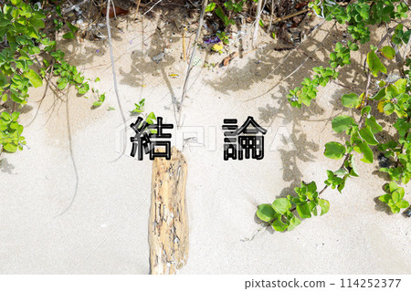 Conclusion: Sandy Beach 114252377