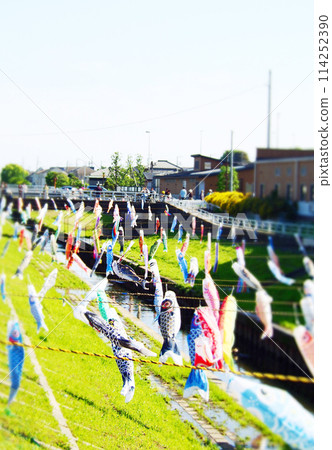 Many carp streamers swaying along the river 114252390