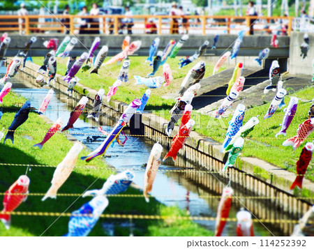 河邊飄揚著許多鯉魚旗 河邊飄揚著許多鯉魚旗 114252392