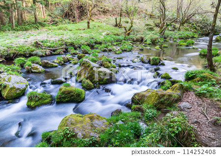 "Akita Prefecture" Spring scenery of Mototakigawa River 114252408
