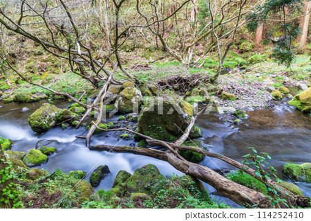 「秋田縣」元瀧川的春天景色 114252410