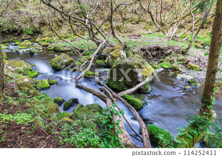 「秋田縣」元瀧川的春天景色 114252411