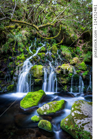 "Akita Prefecture" Spring scenery of Mototaki Falls and Mototaki River 114252461