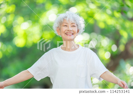 Fresh greenery, woman, gray hair, fresh greenery 114253141