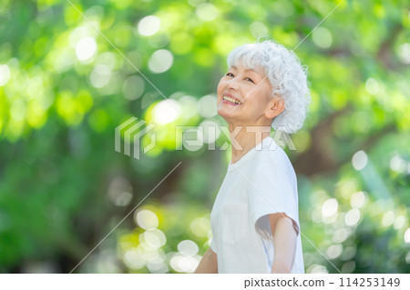 Fresh greenery, woman, gray hair, fresh greenery 114253149