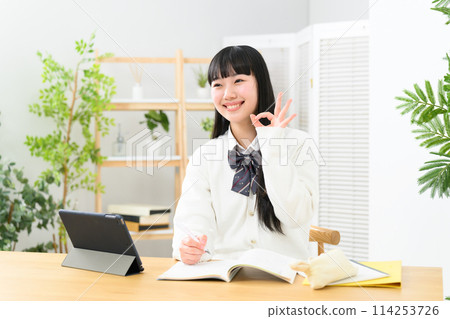 High school girl studying OK 114253726