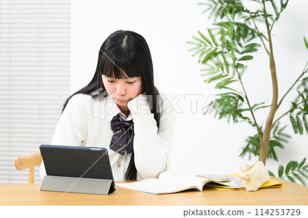 High school girl studying, worried 114253729
