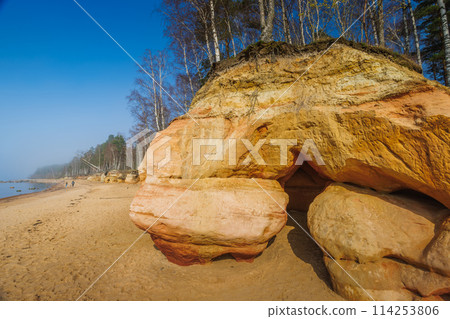 Veczemju Klintis, Veczemju Cliffs on Baltic Sea Near Tuja, Latvia. Beautiful Sea Shore With Limestone and Sand Caves Veczemju Klintis, Veczemju Cliffs on Baltic Sea Near Tuja, Latvia. Beautiful Sea Shore With Limestone and Sand Caves 114253806