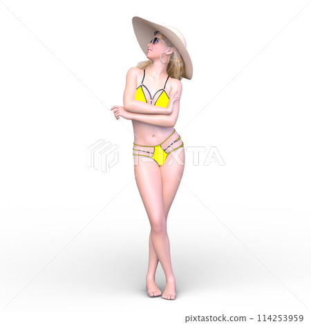 比基尼泳裝形象的一名婦女 114253959