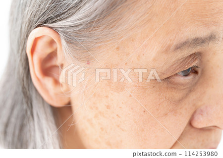 高級女人的眼睛 114253980