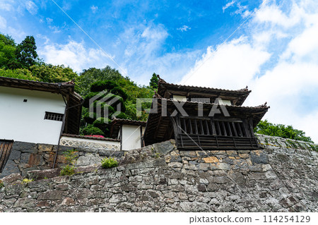 [Japan Heritage] Early summer scenery of the Hirokane Residence, a luxurious mansion in Fukiya, Nariwa Town, Takahashi City, Okayama Prefecture 114254129