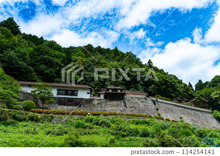 [Japan Heritage] Early summer scenery of the Hirokane Residence, a luxurious mansion in Fukiya 10, Nariwa Town, Takahashi City, Okayama Prefecture 114254141