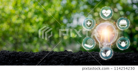 HSE, Health Safety Environment concept, Light bulb on soil with Health Safety Environment icon on virtual screen. HSE, Health Safety Environment concept, Light bulb on soil with Health Safety Environment icon on virtual screen. 114254230