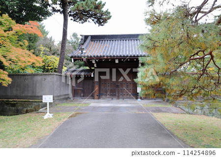 Beautifully colored autumn leaves and the Tokyo Metropolitan Gate, Imperial Palace Beautifully colored autumn leaves and the Tokyo Metropolitan Gate, Imperial Palace 114254896