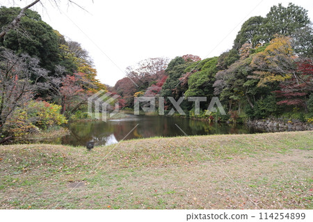 The beautifully colored autumn foliage of Shimodakanbori moat at the Imperial Palace in Chiyoda Ward, Tokyo The beautifully colored autumn foliage of Shimodakanbori moat at the Imperial Palace in Chiyoda Ward, Tokyo 114254899