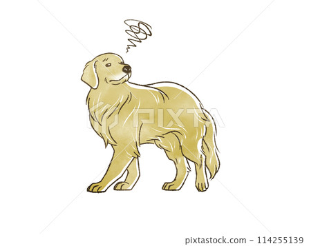 golden retriever in trouble golden retriever in trouble 114255139