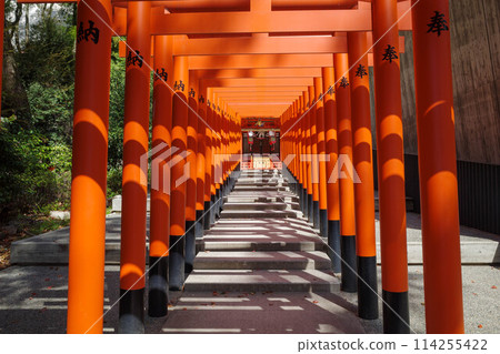The red torii gate of a shrine. Photographed at Ikuta Shrine in Kobe, Hyogo Prefecture. 114255422