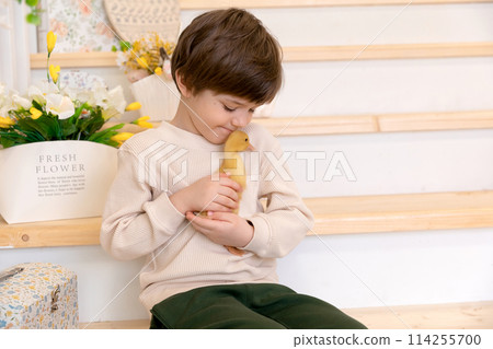A boy sits at kitchen of rustic style and hugs little yellow duckling A boy sits at kitchen of rustic style and hugs little yellow duckling 114255700