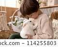 White Easter rabbit sits on the hands of a little boy, who huggs the rabbit 114255803