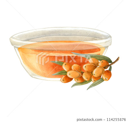 Orange sea buckthorn oil in glass bowl with berries branch watercolor illustration isolated on white. Organic herbal product for healthy lifestyle, natural cosmetics and traditional medicine Orange sea buckthorn oil in glass bowl with berries branch watercolor illustration isolated on white. Organic herbal product for healthy lifestyle, natural cosmetics and traditional medicine 114255876