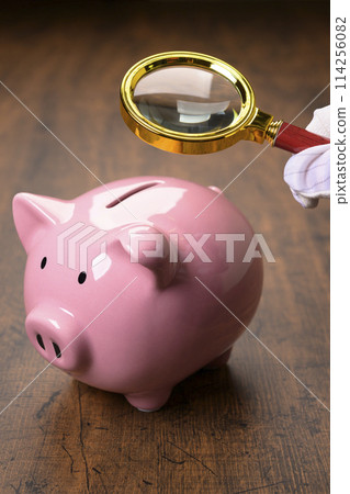 Pig money box and magnifying glass 114256082