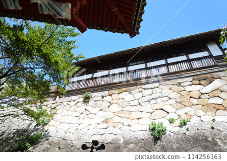 Amabiki Kannon 2023-9-3 #9 Amabiki Kannon 2023-9-3 #9 114256163