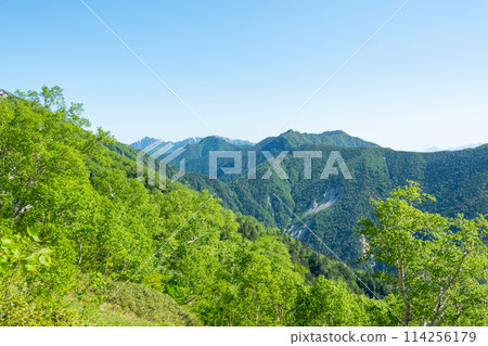 夏季攀登椿山(從卡仙嶺眺望垣山) 夏季攀登椿山(從卡仙嶺眺望垣山) 114256179
