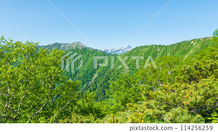 Climbing Mt. Tsubaku in summer (view of Mt. Otenyo and Mt. Yarigatake from Kassen Ridge) 114256259