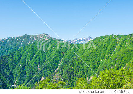 夏季攀登椿岳(從卡仙嶺眺望大天陽山、矢裡岳) 夏季攀登椿岳(從卡仙嶺眺望大天陽山、矢裡岳) 114256262