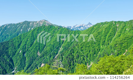 夏季攀登椿岳（從卡仙嶺眺望大天陽山、矢裡岳） 114256264