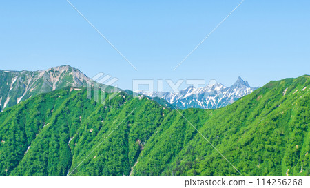 Climbing Mt. Tsubakuro in summer (view of Mt. Daitenjo and Mt. Yari from Kassen Ridge) 114256268