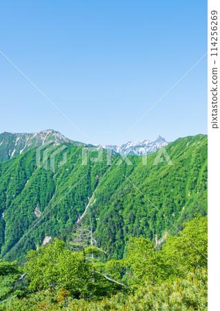 夏季攀登椿山（從卡仙嶺看到的大條山、矢裡岳） 114256269