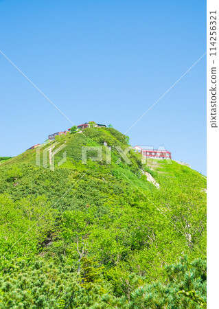 夏季攀登椿山（從花仙嶺看到的椿山莊） 114256321