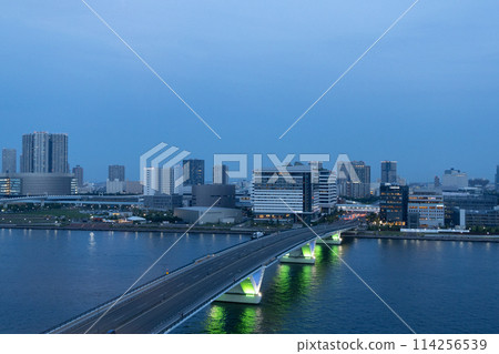View of the illuminated Toyosu Bridge from the Harumi side (Toyosu, Koto-ku, Tokyo, April 2024) 114256539