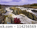 Great Nature 114256569