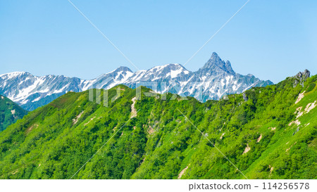 夏季攀登椿山（從卡森嶺看到的矢裡岳） 114256578