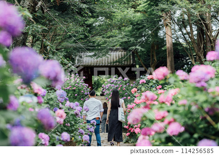 愛知縣蒲郡市 繡球寺 本光寺 114256585