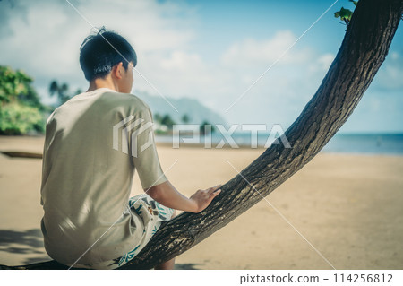 Young man gazing at turquoise waters on a sandy Hawaiian beach Young man gazing at turquoise waters on a sandy Hawaiian beach 114256812
