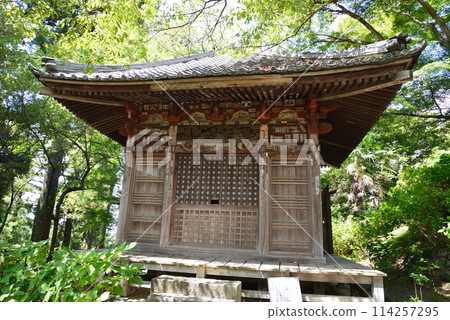 Amabiki Kannon 2023-9-3 #14 Amabiki Kannon 2023-9-3 #14 114257295
