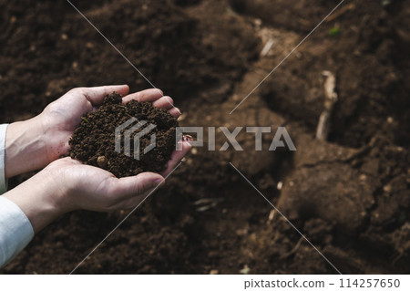 一名婦女檢查田地裡的土壤 114257650