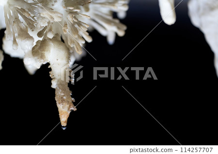 Magnificent Stalactite Formation with Water Drop in Dark Cave 114257707