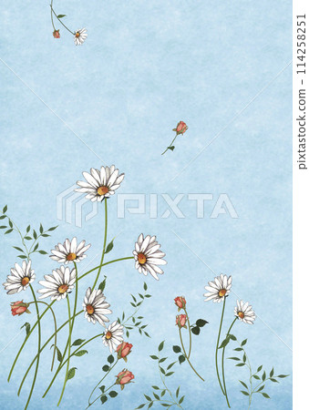 手繪水彩瑪格麗特與玫瑰插畫藍色背景複製空間 114258251