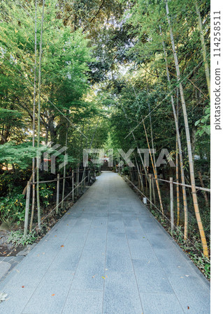 Atami, the approach to Kinomiya Shrine 114258511