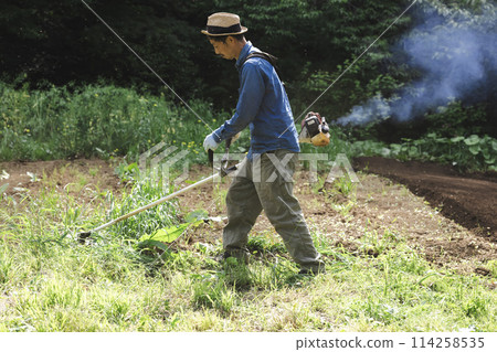 Man cutting weeds with a lawnmower 114258535