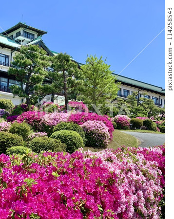 藍天映襯下盛開的茅草與蒲郡經典飯店（蒲郡經典飯店花園/愛知縣岡崎市） 114258543