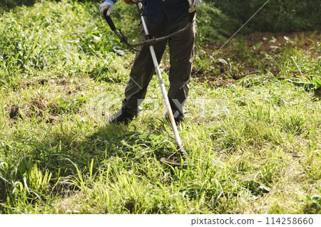 一名男子用割草機割草 114258660