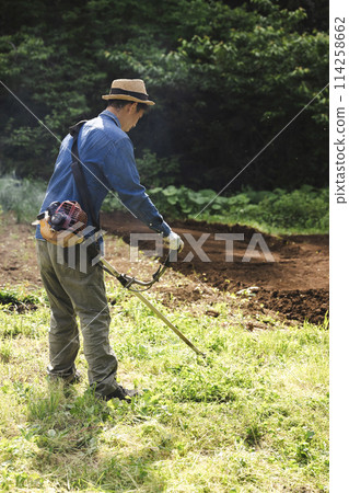 Man cutting weeds with a lawnmower 114258662