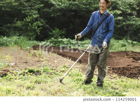 Man cutting weeds with a lawnmower Man cutting weeds with a lawnmower 114259001