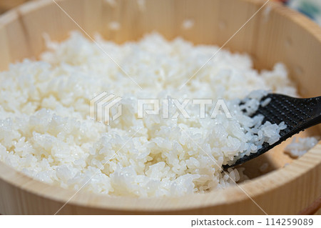 Vinegared rice Sushi rice Sushi 114259089